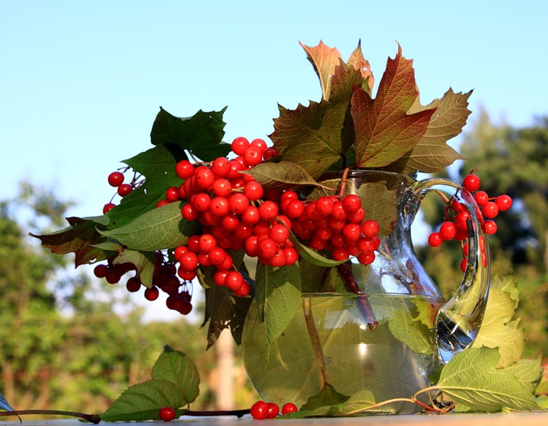 Ну вот и всё