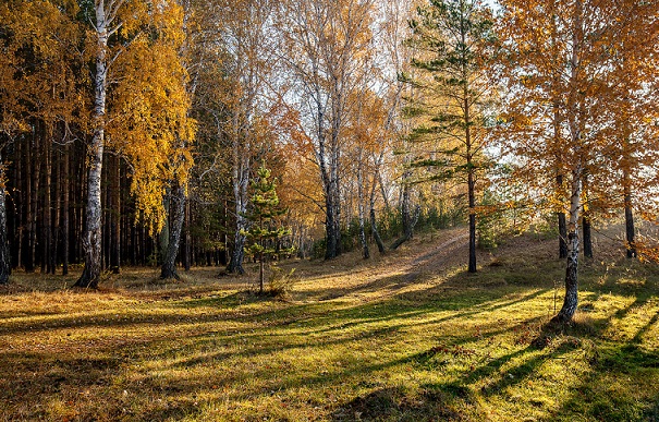 Как может не нравиться осень?
