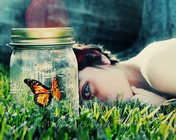 Лето - впрок