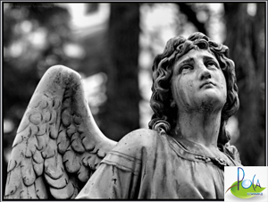 Редкие встречи...