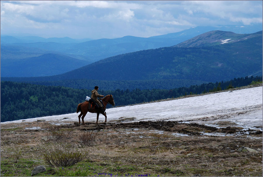 Всадник Перевод