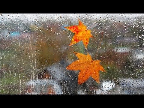 Отколосилось лето... Сентябрь