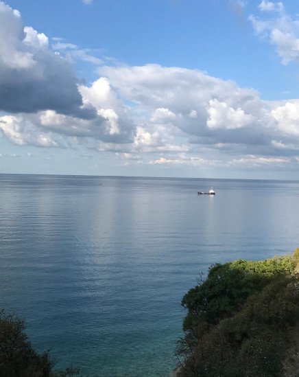 Душа тоскует...