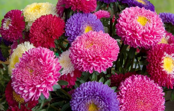 Вот уж осень наступает...