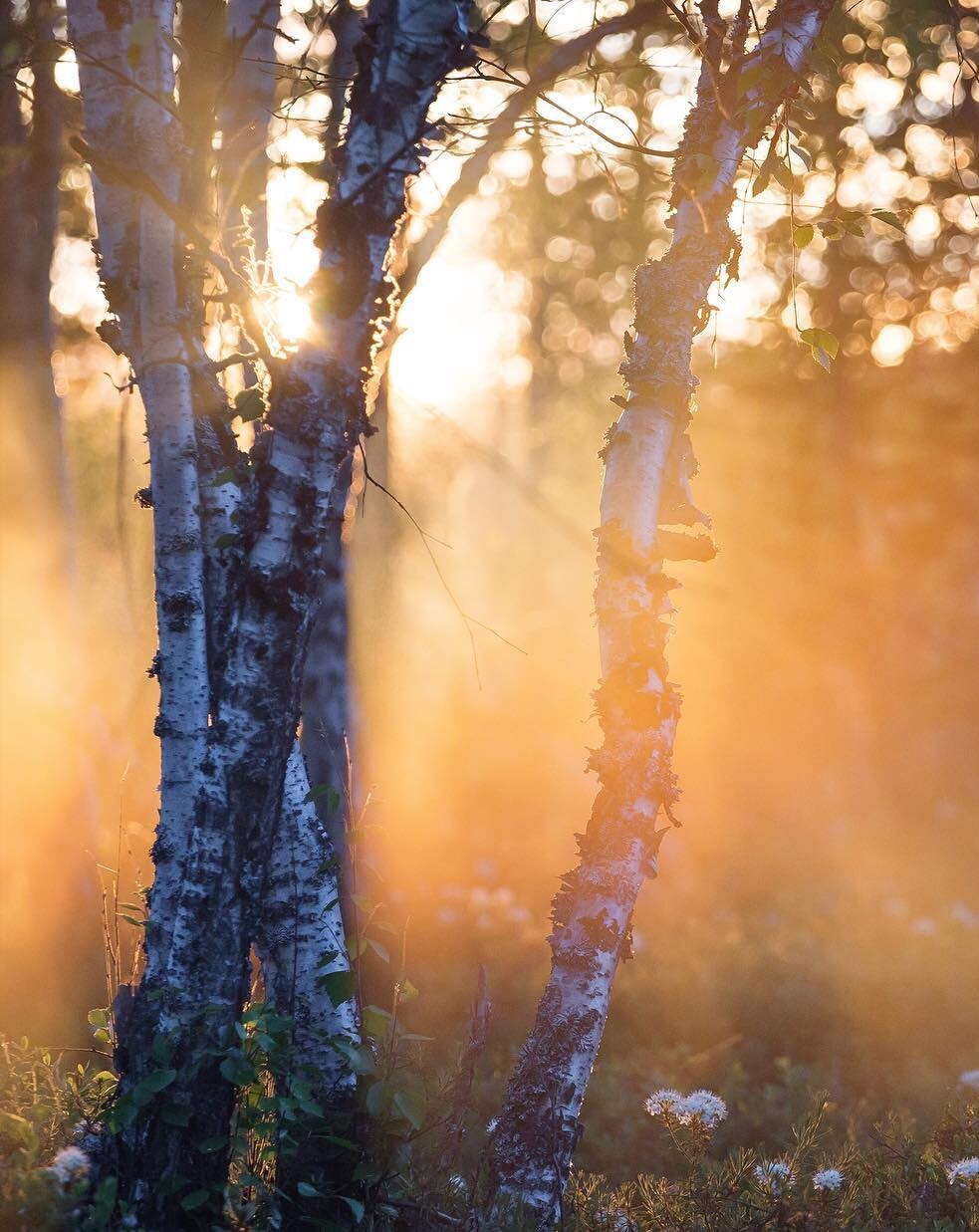 В родном краю...