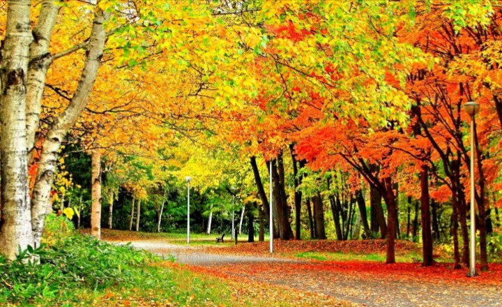 Рисует осень...