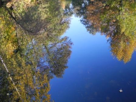 Осенняя зарисовка лирическое...