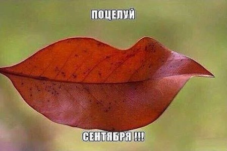 Осенний поцелуй