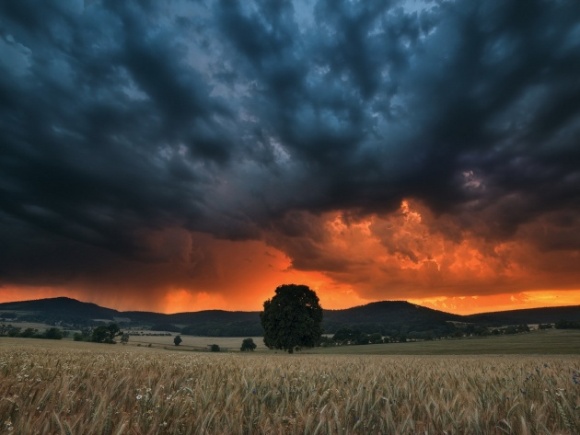 Непогода всю ночь грохотала