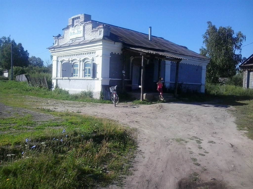 Стихотворение впечатление