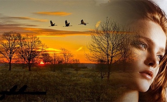 Осенняя элегия