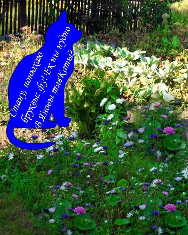 Споj мне песню. Да но коб, бы шпань!