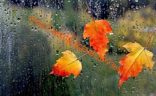 С улыбкой в осень...