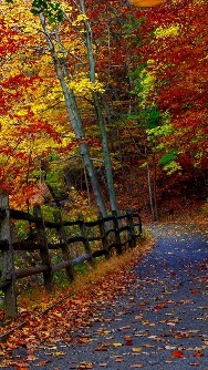 Вот и осень