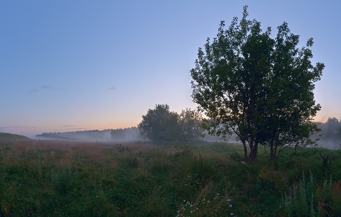 Ищи ветра в поле. Песня