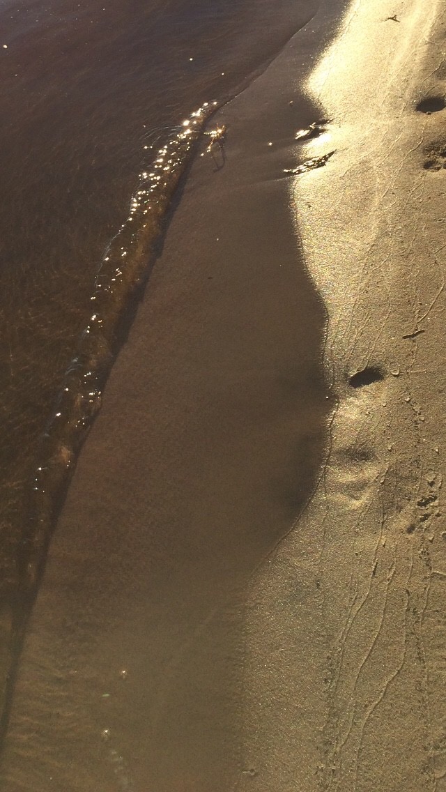 В любви едино...