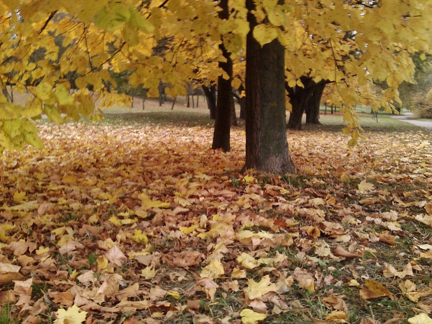Прощальное танго