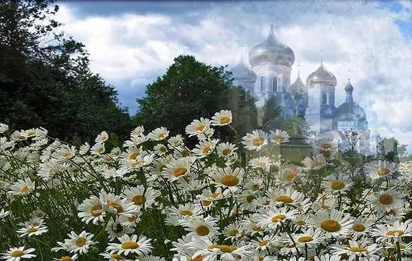 Маятник гиревых часов...