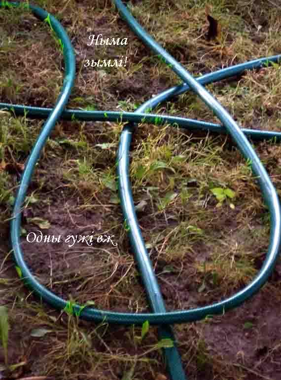 Читая ДмиТрия стихи зь,