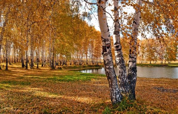 Бабьем летом осень тянет отзываться