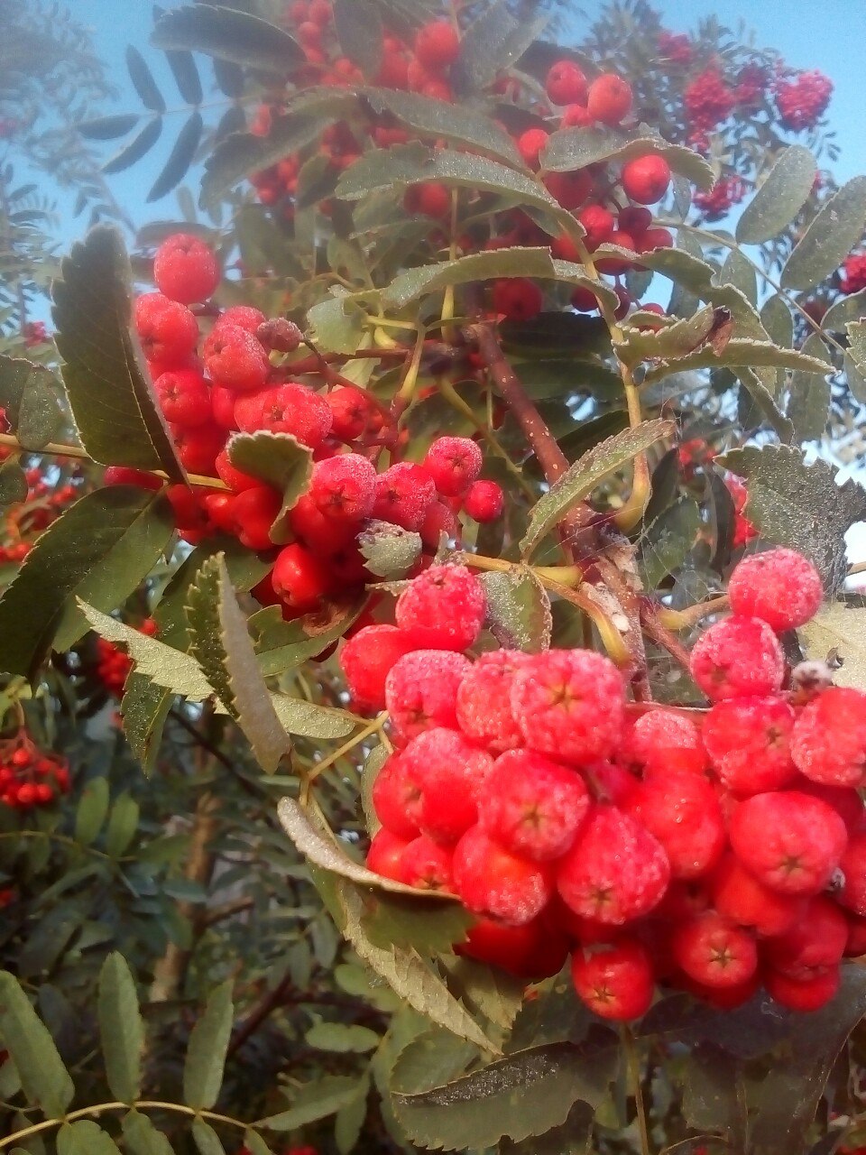 Сентябрьское утро