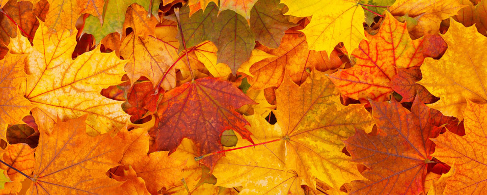 Я вновь не разберусь в хитросплетениях...