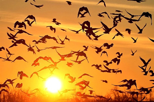 Если бы знать...