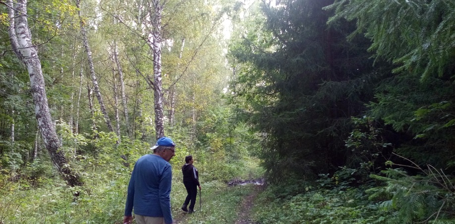 Липовая роща (Сергей Сметанин) / Стихи.ру