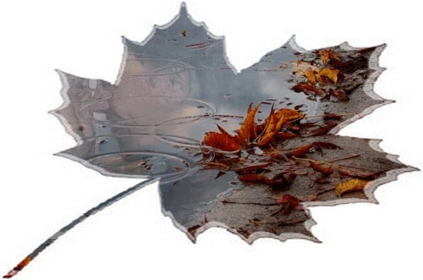 Осенний дождь