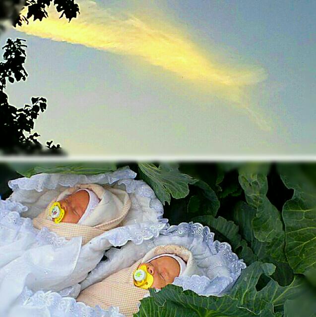 Рождения обычный день