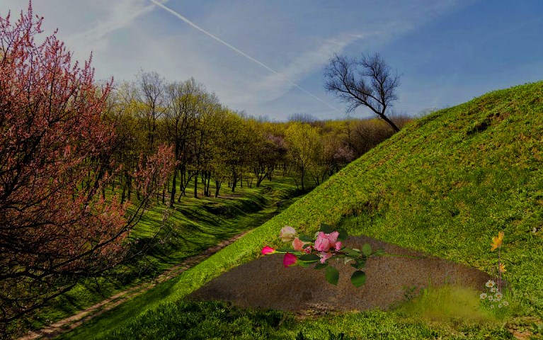 Вовка со Шляховки