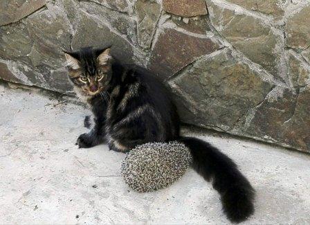 В чём измерить счастье