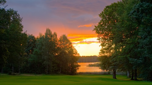 Россия моя милая