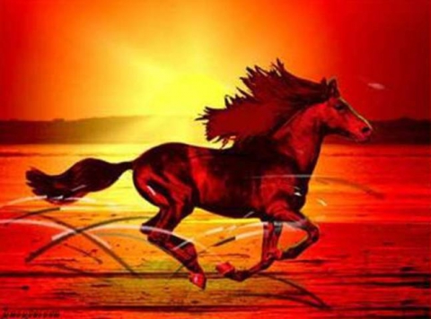 Я Русь люблю!