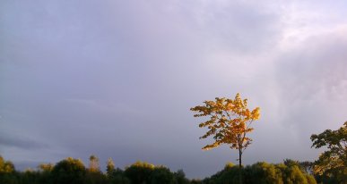 Не позвонит уже в семь вечера