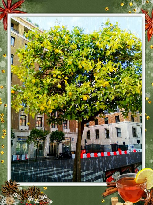 Это суровый юг...