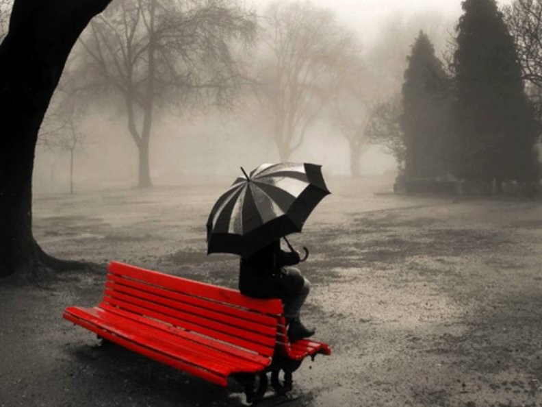 Горькие слова