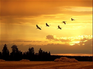 ЖДЁТ НАС ЗИМА