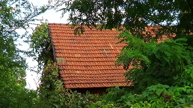 Дом, мой милый дом