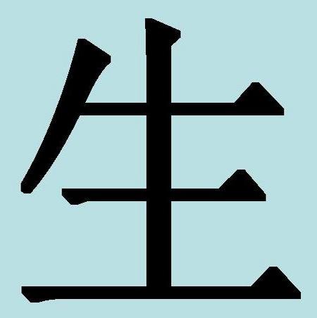 Смерть на японском иероглиф. Иероглиф кандзи обозначающий смерть. Китайский иероглиф жизнь. Японский иероглиф жизнь. Японский иероглиф жизнь и смерть.