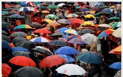 Диктатура дождя