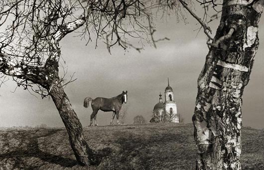 Время Паразитов