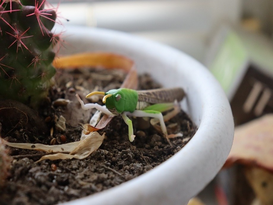 На что быть такими, какие мы есть?