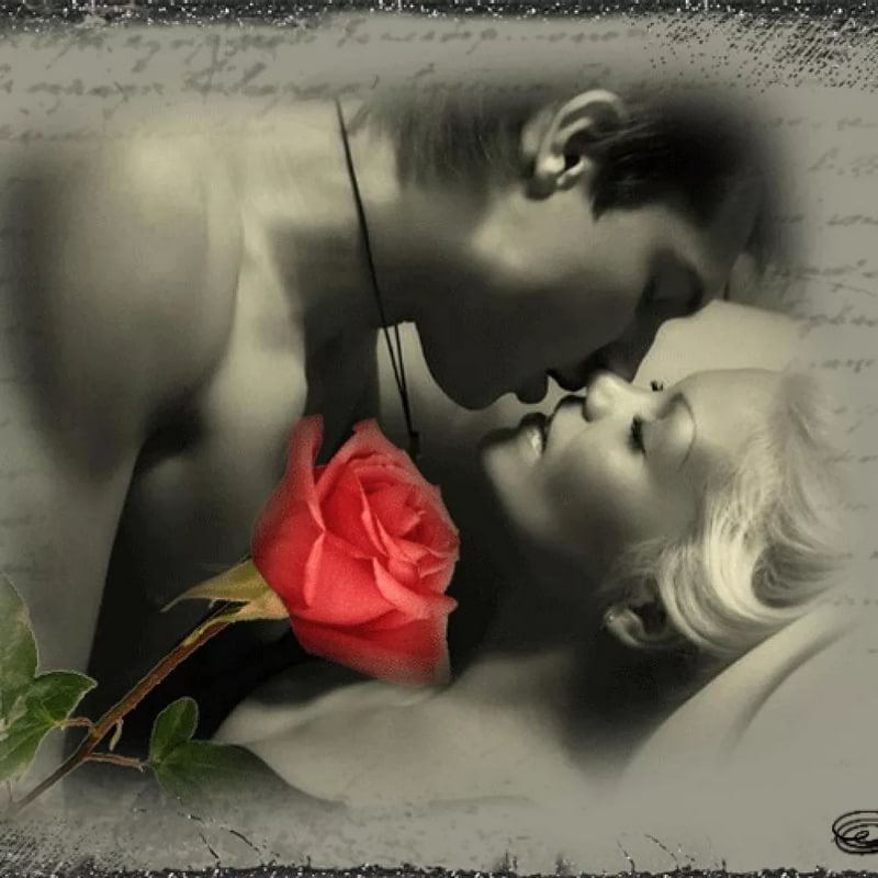 Хочу тебя целовать везде картинки гифки