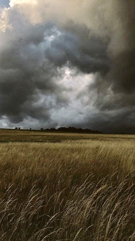 Русь привольная