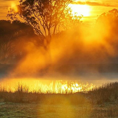 Летняя песенка