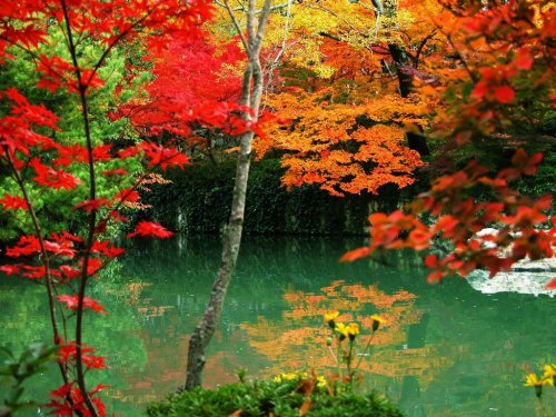 34 Я люблю осеннюю природу