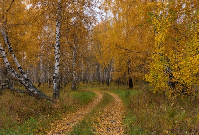 Я вернусь...