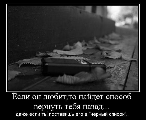 Я тебя верну