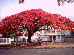 Сентябрь к концу